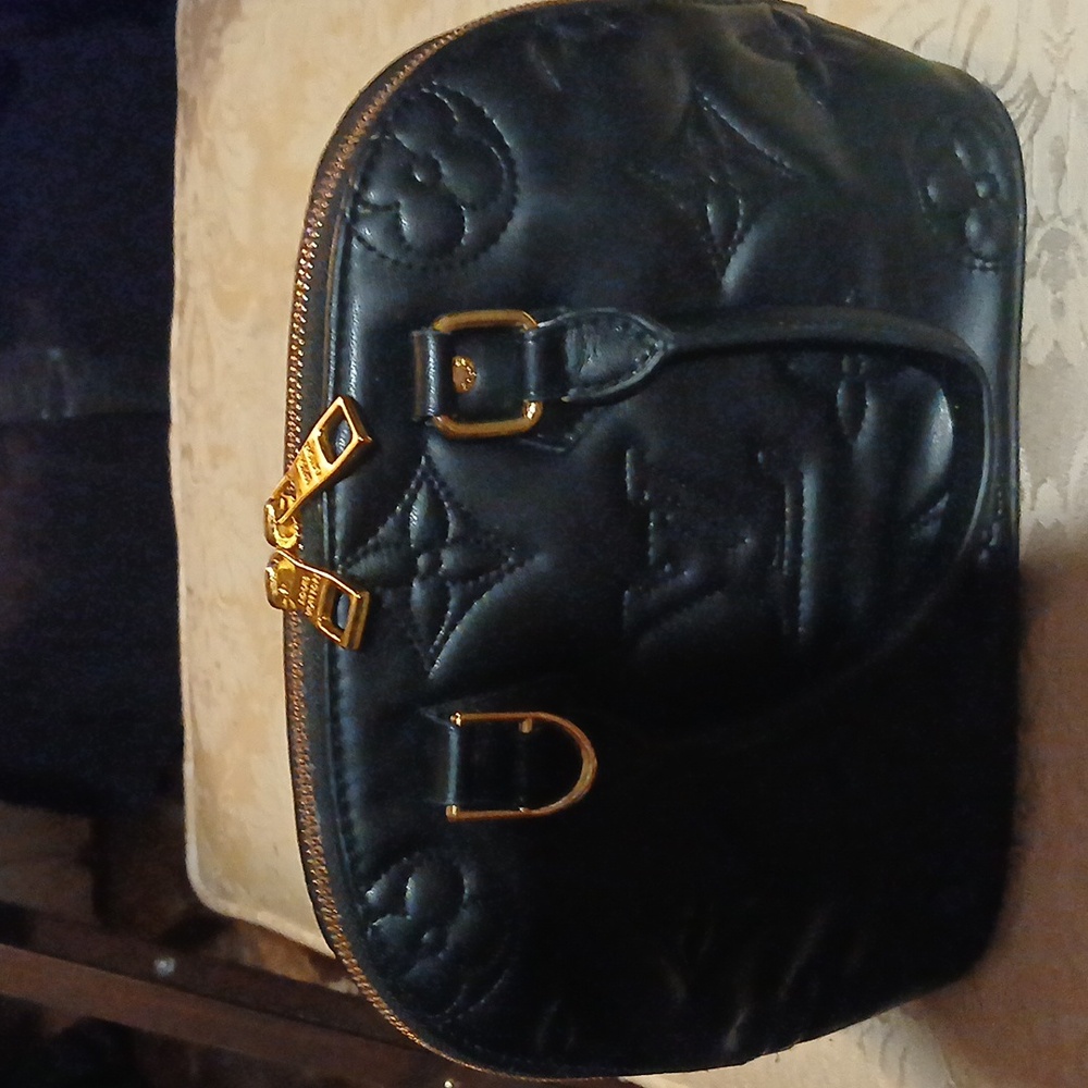 Louis Vittion Purse